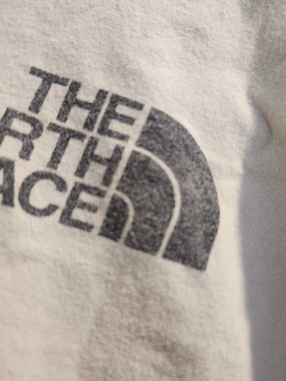 The North Face Pale Gray Long Sleeve Logo Tee L Euc
